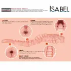 Kokos Isabel peenise varrukas – 18 cm – nahavärv — Foto 7