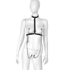 Leather Collar Chest with 4 Clamps — Photo 3