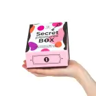 Secret Pleasures Box – vibrating bullet, feather tickler & 2 dice — Photo 2