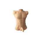 Silex-D Torso Large Silicone Model 7" Apollo L – 50 cm — Photo 5