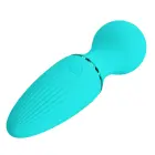 DWAYNE mini vibratorius – 10 vibracijos funkcijų — Nuotrauka 5