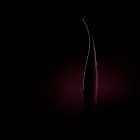 Senzi vibratorius – 18 cm (7″) – violetinis — Nuotrauka 5
