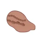 Big Ass Banger Vibrating Masturbator – Brown — Photo 6