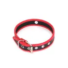 Budget Faux Leather Collar with O-Ring – Black & Red — Photo 3