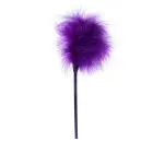 Feather Tickler Purple - B - Series Fetish Foto 1