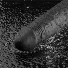 REAL SOFTEE uzlādējams vibrējošs dildo – 24 cm (9.5″) – Melns Foto 13