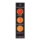 Floryda Inflatable Love Doll – 3 Holes — Photo 2