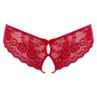 Cottelli Collection Lace Briefs with Decorative Cut-Outs and Bows – Black – L — Photo 5