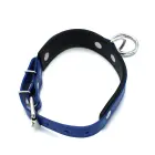 Black & Blue Leather Collar with Big O-Ring — Photo 3