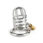Master Chastity Cock Cage — Photo 5
