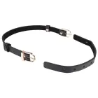 Sportsheets S&M Double Buckle Day Collar – Black / Gold — Photo 5