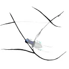 Lust Tunnel Plug M – 10 cm (4″) – Juodas Photo