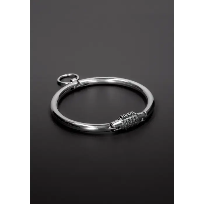 Stainless Steel Collar with Combination Lock – Small