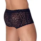 Noir H. kelnės su leopardo raštu – 2XL — Nuotrauka 3