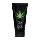CBD Cannabis aiztures aerosols – 50 ml Foto 1