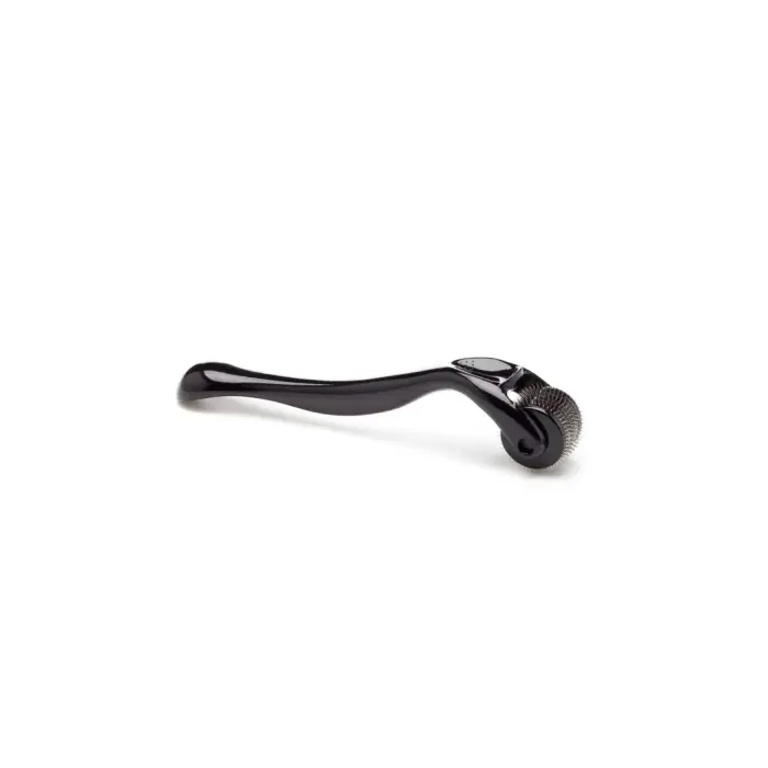 Wheel of Pleasure Photo