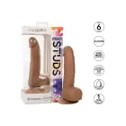 CalExotics Realistic Textured Dildo with Balls and Suction Cup – 15 cm (6″) – Brown — Photo 5