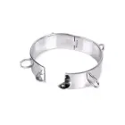 Kiotos Stainless Steel D-Ring Collar — Photo 2