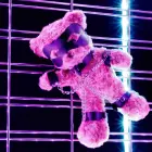 CRUSHIOUS Crushito bondage pliušinis meškiukas, juodas, 31 cm — Nuotrauka 6