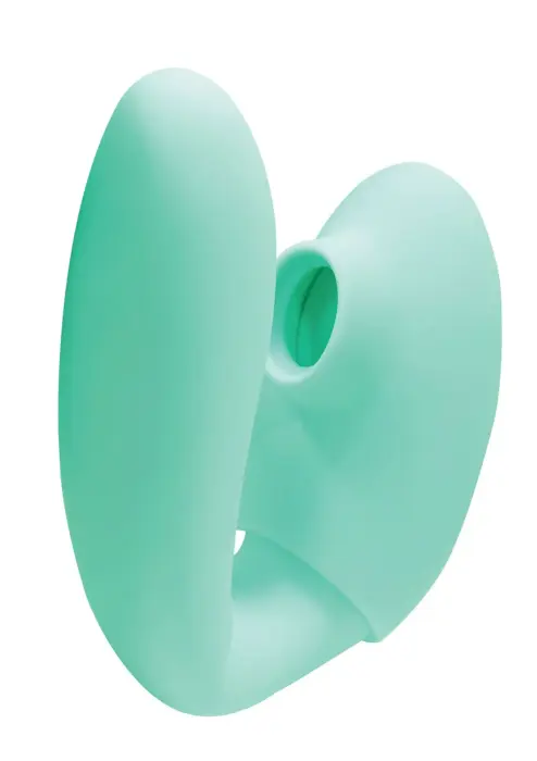 Porų priešingumo stiprintuvas – mėtinė Photo