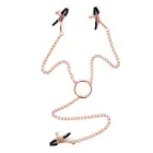 Rose Gold Nipple Clamps with Chains — Photo 4