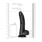 Išlenktas realistiškas dildo su sėklidėmis ir siurbtuku – 20,5 cm (8″) – Juodas Photo