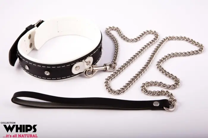 Leather Studded Collar with Leash – White