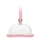 Pussy Pump - Rose Gold Photo
