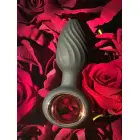 Aisi besisukantis analinis kištukas Photo