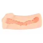 Kokos Elegance 1 intīmais masturbators – 16 cm – miesas krāsa — Foto 3