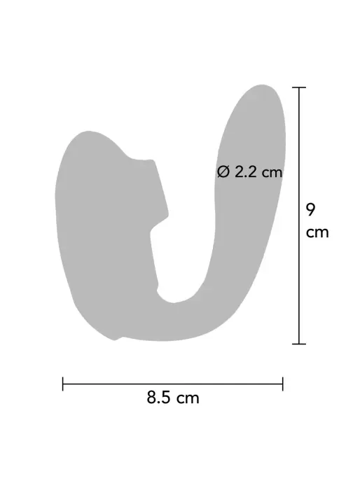 Porų priešingumo stiprintuvas – mėtinė Photo