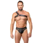 ZADO Leder Herren keharihm – must – S-L — Foto 4