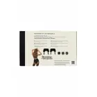 Guilty Pleasure Midnight Suspender Belt – black – XXL — Photo 5