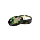 Shunga Garden of Edo Intimate Care Kit — Photo 7
