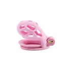 HIDDEN DESIRE Penis Prison Chastity Cage – Pink — Photo 4