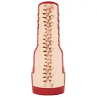 Fleshlight Evie Akashiya Sho Akuma Vaginal Masturbator – 25 cm – Red — Photo 4