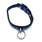 Black & Blue Leather Collar with Big O-Ring — Photo 6