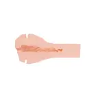 Wet Kitten Self Lube To Go – miesas krāsa Foto 6