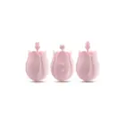 PLAY WITH ME Romantic Rose vibraator – 8.3 cm (3.25″) – roosa — Foto 5