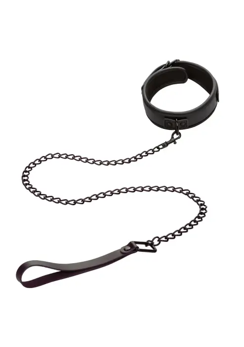 Nocturnal Collar & Leash – Black