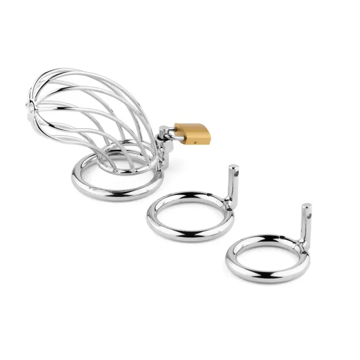 Metal Penis Cock Cage – Regular