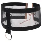 Sportsheets Sex & Mischief Sheer Day Collar, adjustable – black/gold — Photo 2