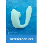 Porų priešingumo stiprintuvas – mėtinė Photo