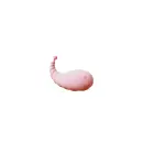 Mini Clitoral Vibrator — Photo 1