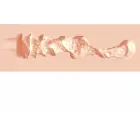 Career Girls Tiffany Throatcheck TPE Intimate Device Small Flesh — Photo 7
