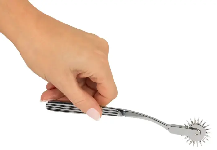 Single Pinwheel Silver Photo