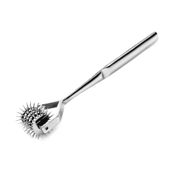 Pinwheel 5-Wheels Stainless Steel Sensory Tool