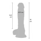TOYJOY Rainbow Lover Dildo – 18 cm (7″) — Photo 2