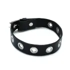 Black Leather Slim Collar with Multi-Metal Eyelets — Photo 2