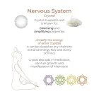 Harmony Stones - Силиконовый набор для тренировки Фото num